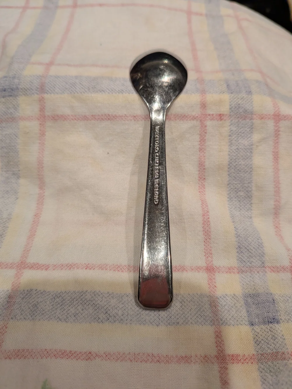 Vintage 1960s/70s Stainless Steel Spoon with Embossed Aer Lingus With Shamrock